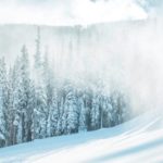 gettyimages 1080686018 676x397 79007