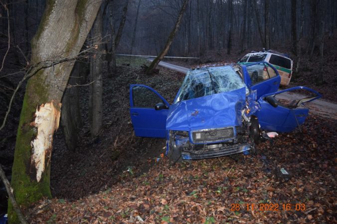 Vodič Fabie vrazil pri Revúcej do stromu, nehodu neprežil nikto (foto)