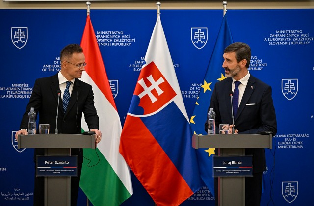 mzv2 168601.jpg