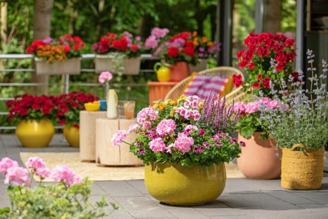 2025 muskaty 5000 hravy exterier 05 676x451 170291.jpg