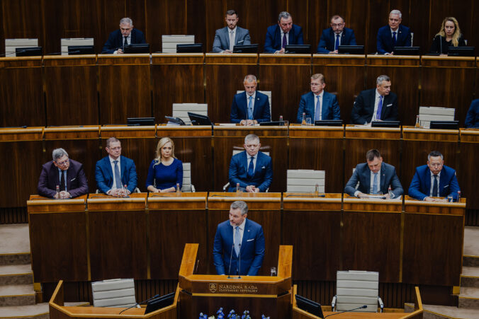 pelle2 676x451 173645.jpg