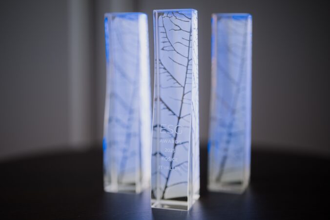 esg awards 1 676x451 175312.jpg