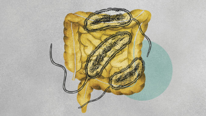 climate change infectious diseases cholera 676x380 177729.jpg