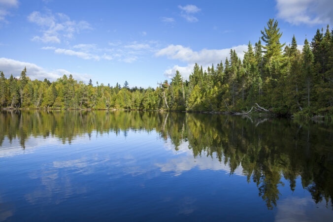 gettyimages 2043169611 676x451 177181.jpg