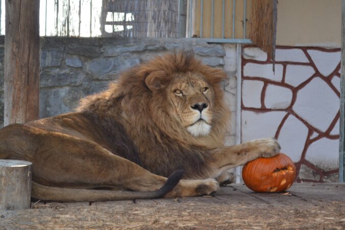 485834851 1158593069389290 6516875686196391237 n 676x451 180715.jpg