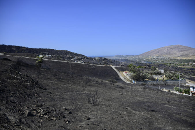 grecko 676x451 179107.jpg