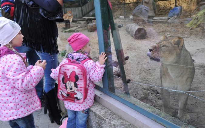 zoo 676x422 180195.jpg