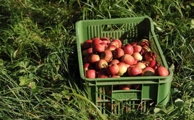 03 4 676x419 182317.jpg