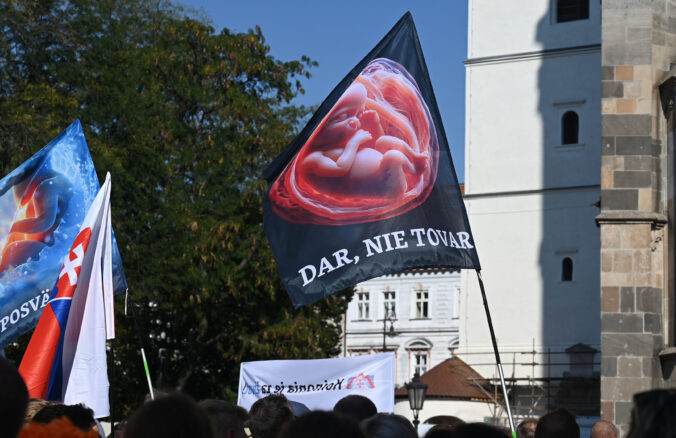 66f01e4aadf68534742056 676x438 182086.jpg