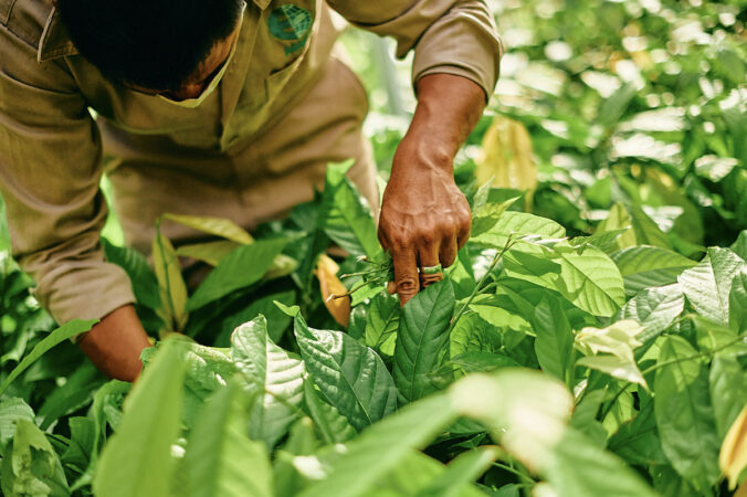 mars net zero 1 676x450 181611.jpeg