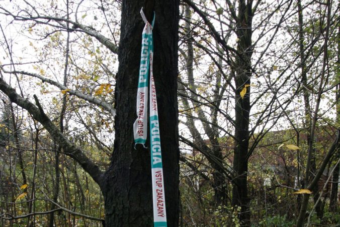 policia les 676x453 182663.jpg