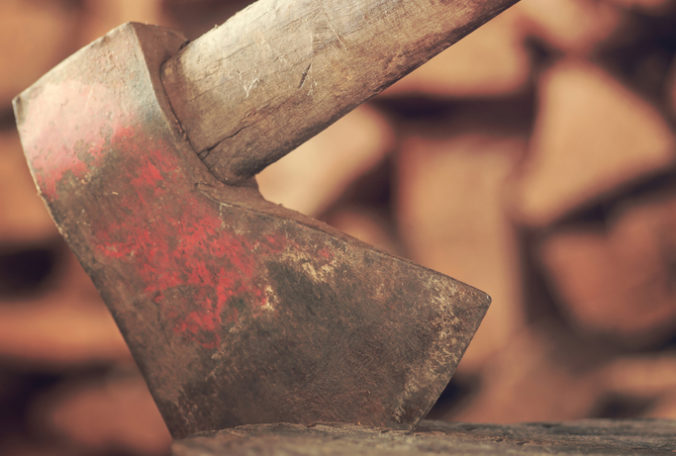 sekera e1702988251947 676x456 182266.jpg