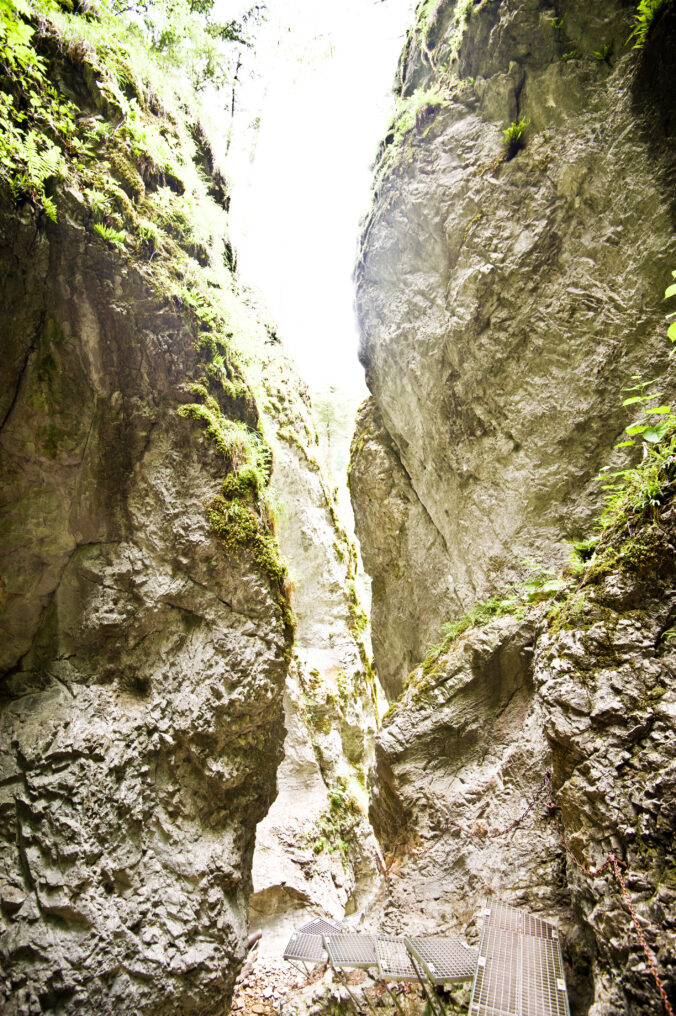 gettyimages 1032775164 676x1016 186518.jpg