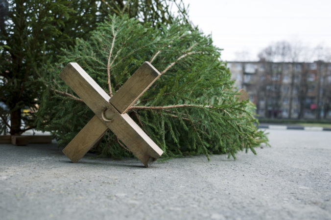 gettyimages 1362316257 676x451 186020.jpg