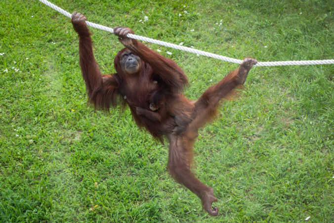 64e095c583b90480653355 1 676x451 189697.jpg