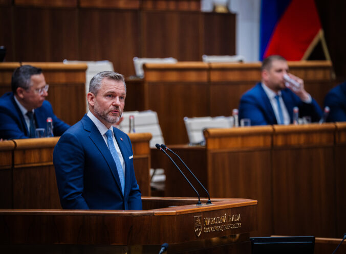 pelle 676x497 189916.jpg