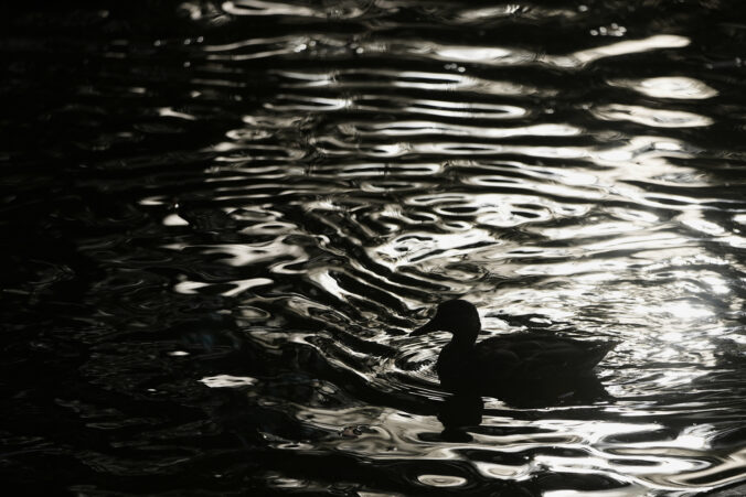 russia daily life 22744 676x451 188563.jpg