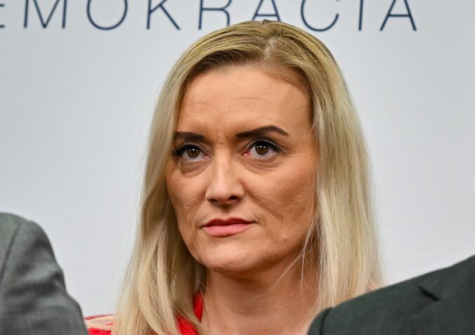 lassakova 676x477 192008.jpg