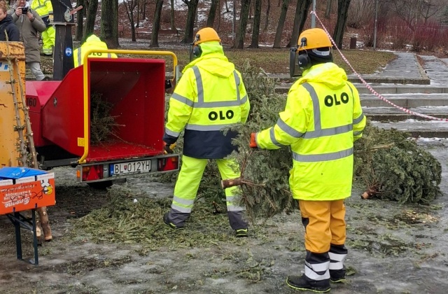 mulcovacka 193195.jpg