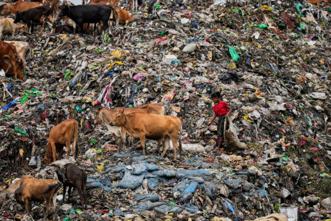 india world environment day 79861 676x451 209503