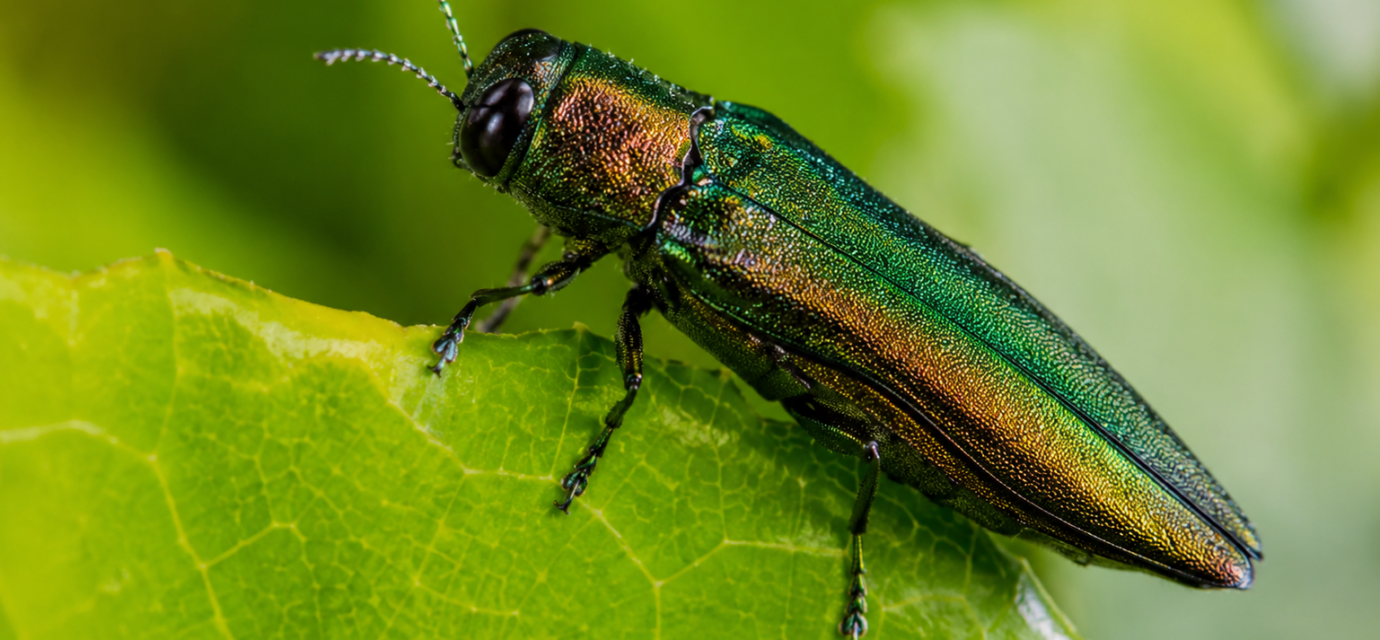 Krason Aktualizovane 24082026