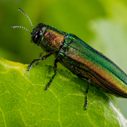 Krason Aktualizovane 24082026