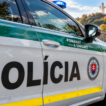 Slovenska policia pri hrade 1