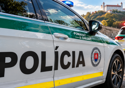 Slovenska policia pri hrade